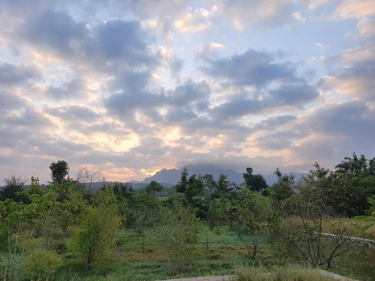 Bijapur Lodge Jawai Экстерьер фото